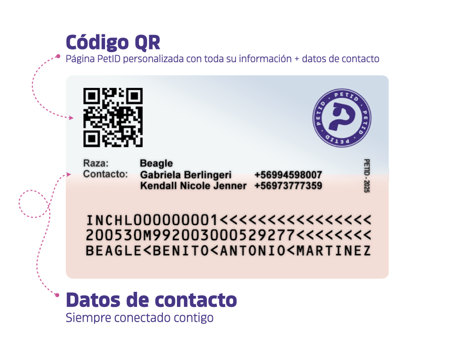 Reverso